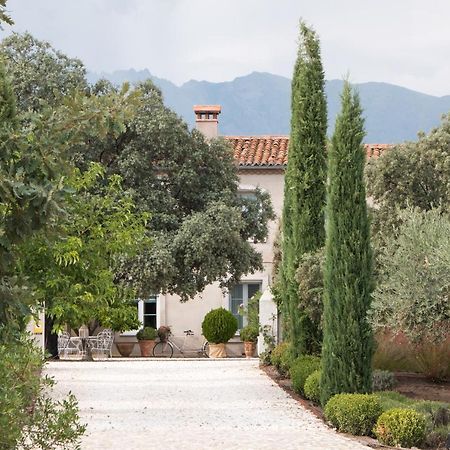 La Casa De Los Tomillares Candeleda Εξωτερικό φωτογραφία